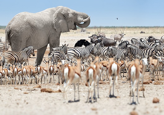 Investment img right