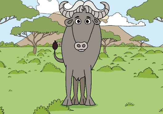 Brandon the buffalo