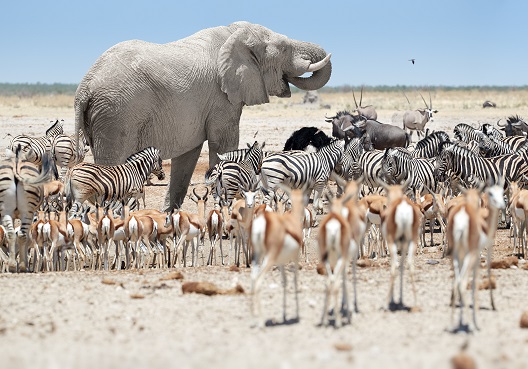 On managing diversity img left