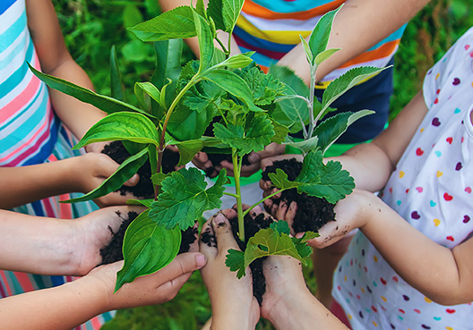 Several kids hold handfuls of soil and plants.