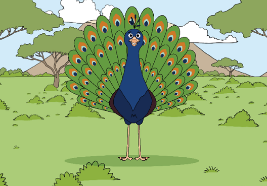 A cartoon peacock that highlights a lesson in the Old Mutual financial education program.